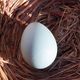 Illustration for article titled Hello, Boomers: A Medicare Supplement Plan Will Save Your Nest Egg em/em